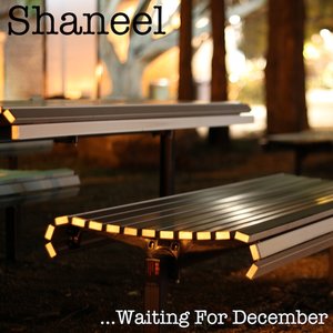 Shaneel 的头像