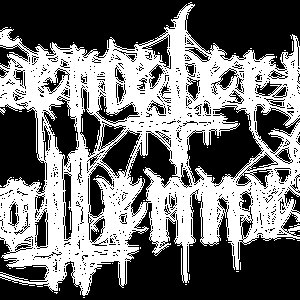 Cemetery Rottenness 的头像