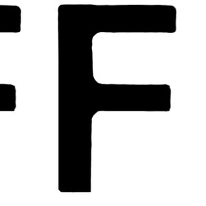 “the raffeys”的封面