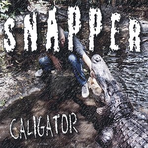 Snapper
