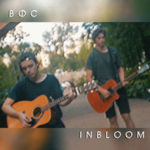 In Bloom (Cover) - Single