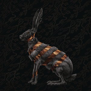 Jackrabbit (Deluxe)