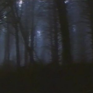 The Dark Forest 最​も​暗​い​夜