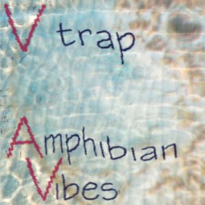 “Amphibian Vibes [TROORG#002]”的封面