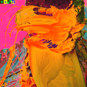 Flume - The DIFFERENCE - Zortam Music