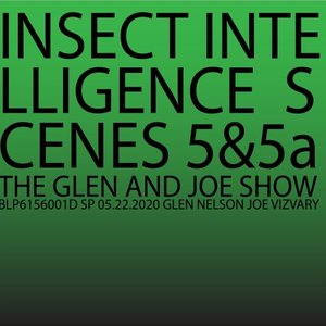Insect Intelligence