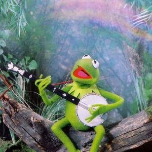 Avatar di Kermit