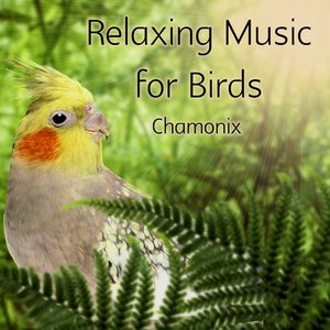 Relaxing Music for Birds