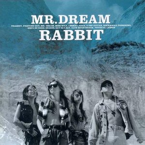 MR.DREAM