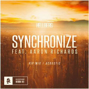 Synchronize (VIP Mix / Acoustic)