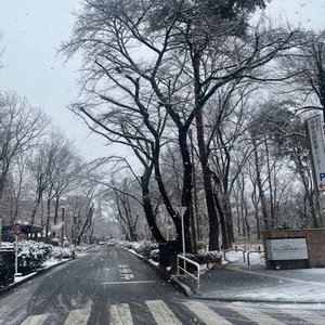 Previous - Single