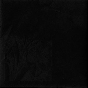 Life In The Dark 的头像