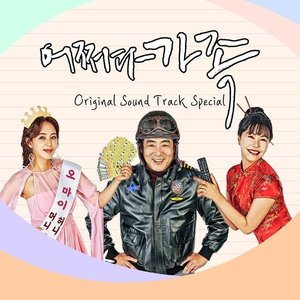 어쩌다 가족 (Original Television Soundtrack) Special Album