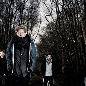 The Wild Archive 的头像