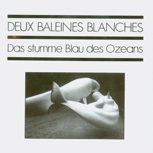 Das Stumme Blau Des Ozeans