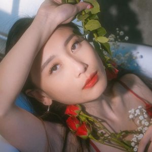 Cindy Zhang Profile Picture