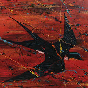 Barnswallow cover