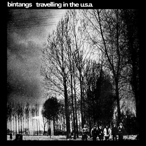 Travellin' in the U.S.A. cover