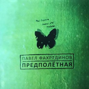 Предполётная