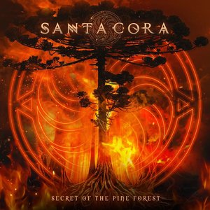 Secret of the Pine Forest