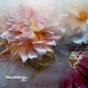 Album Thumbnail