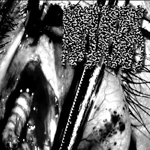 MYIASIS 的头像
