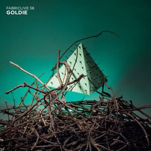 FABRICLIVE 58: Goldie