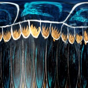 Jännittävät asiat olemme jo kauan kertoneet toisillemme salaisissa kirjeissä