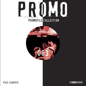 System Feedback - Promofile Classic 003