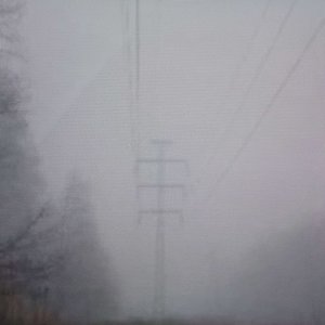 Dead Hues