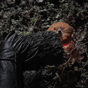dj pumpkin - Single