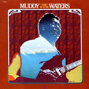 Muddy Waters - 