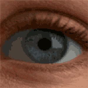 Avatar for Chaotic Landscape