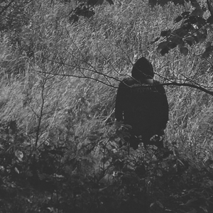 Panopticon photo provided by Last.fm