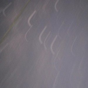 Howling Fossils