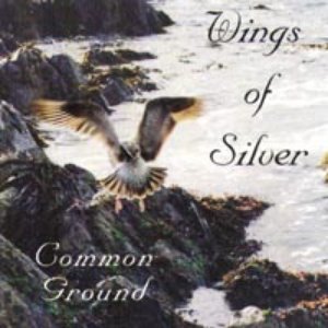 Wings of Silver