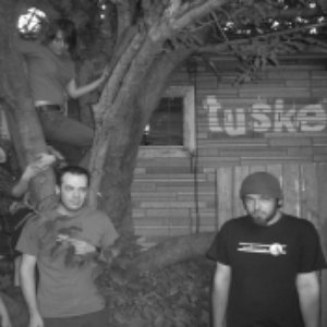 Tusker 的头像