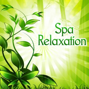 Spa Relaxation – Nature Sounds to Relax, New Age Spa Music, Wellness Relaxation, Healing Massage
