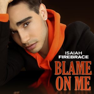 Blame On Me