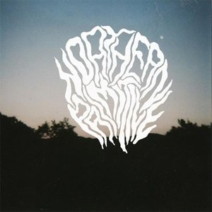 Avatar for Northern Primitive