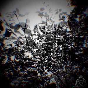 Entropy