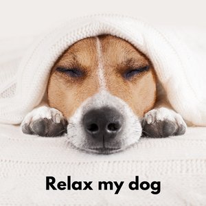 The Dog Relaxer 的头像