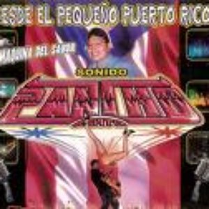 SONIDO PANCHO DE TEPITO 的头像