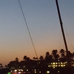 druif nights ep ッ