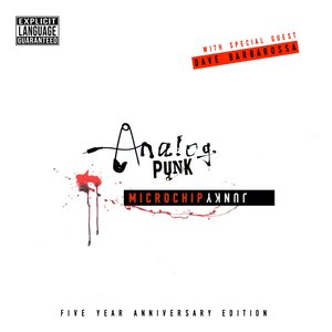 Analog Punk