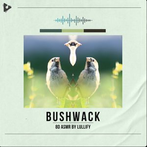 Bushwack