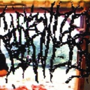 Avatar for Carbonized Bowels