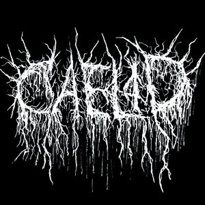 caelid 的头像