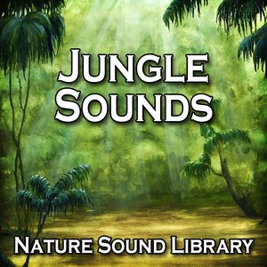 Jungle Sounds (Nature Sounds for Deep Sleep, Relaxation, Meditation, Spa, Sound Therapy, Studying, Healing Massage, Yoga and Chakra Balancing)