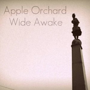 Wide Awake